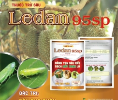 Ledan 95sp
