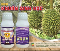 HIỆU KHUẨN SINH HỌC