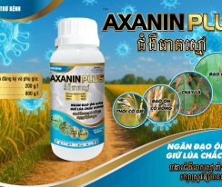 AXANIN PLUS