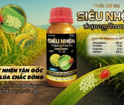 SIÊU NHỆN