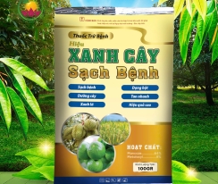 XANH CÂY SẠCH BỆNH