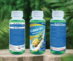CANXI BO – Ngăn rụng sinh lý, chắc trái – tăng năng suất!