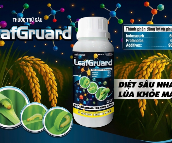 LeafGruard – Diệt Sâu Nhanh, Lúa Khỏe Mạnh 