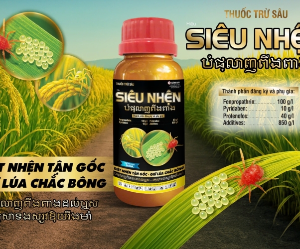 SIÊU NHỆN