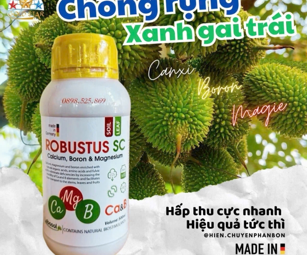 ROBUSTUS SC - CHỐNG RỤNG XANH GAI TRÁI
