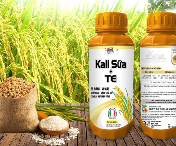 Kali Sữa + TE